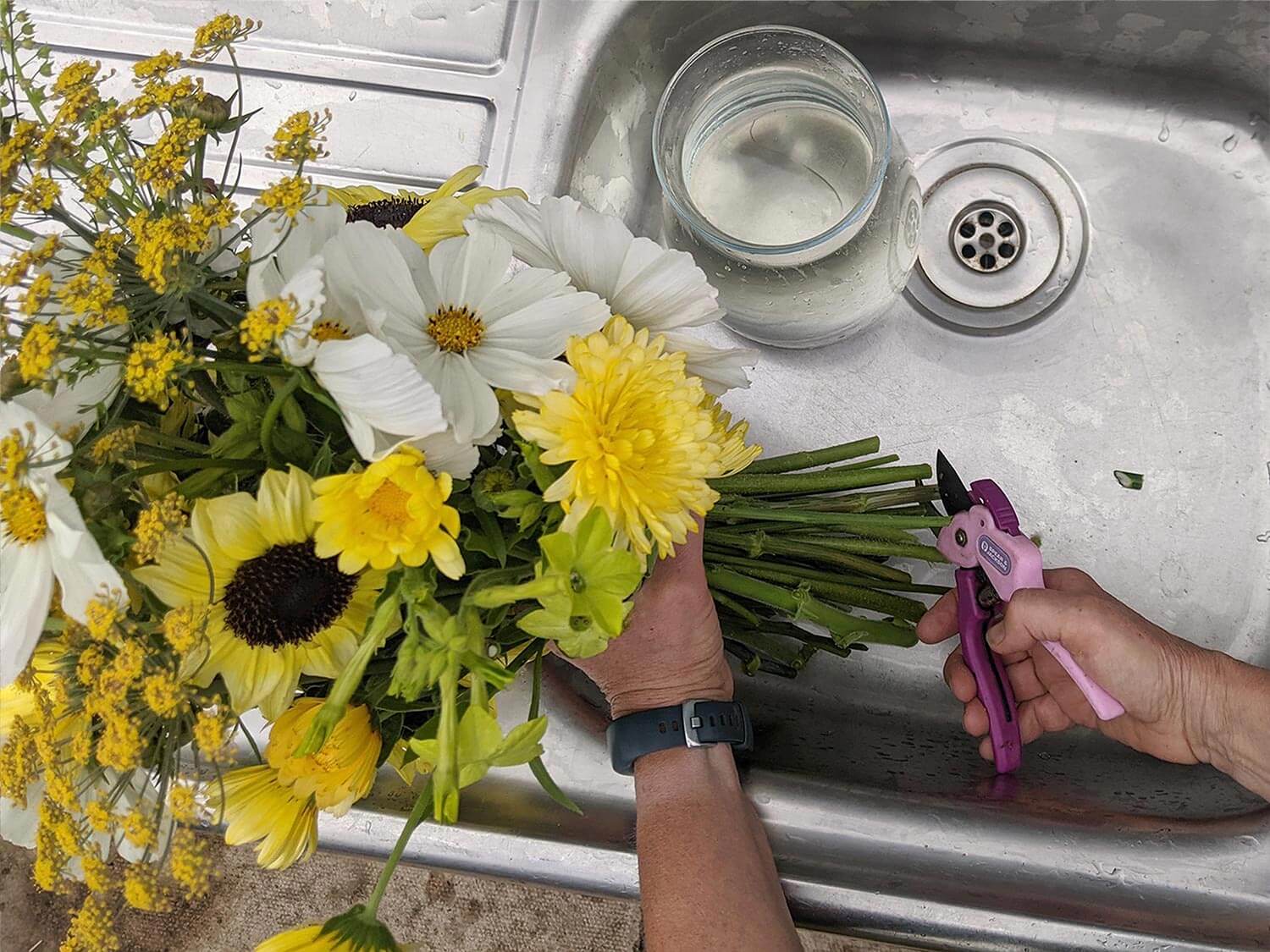 Caring for cut flowers